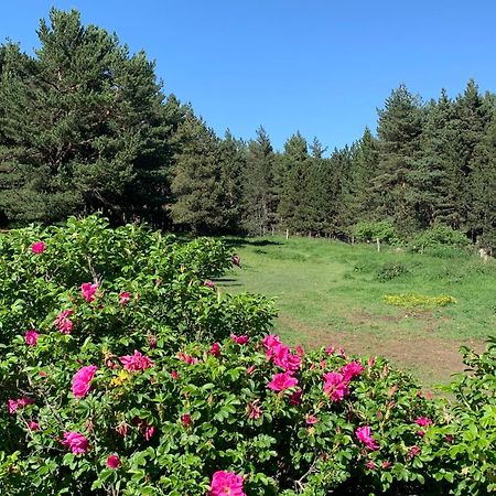 Gite Ranch Le Serpolet Les Angles  Eksteriør billede
