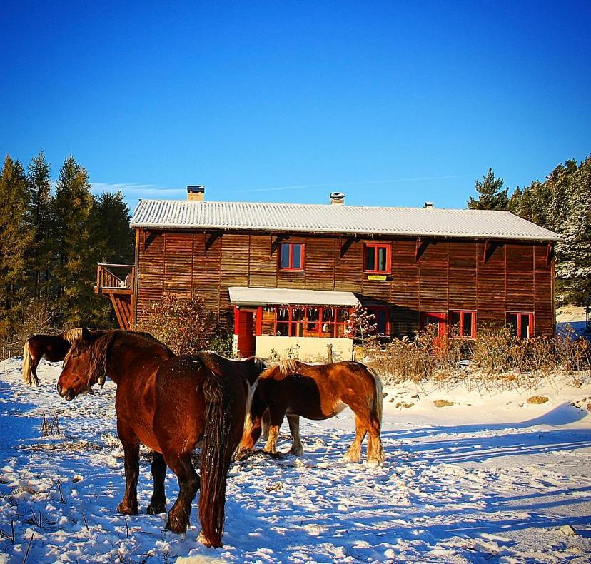 Gite Ranch Le Serpolet Les Angles  Eksteriør billede