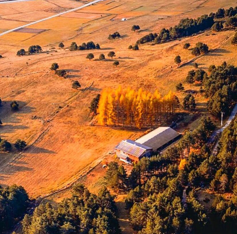 Gite Ranch Le Serpolet Les Angles  Eksteriør billede