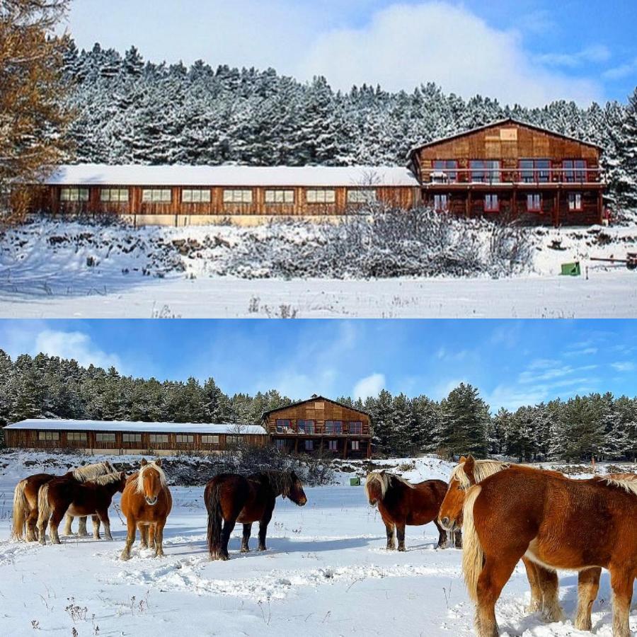 Gite Ranch Le Serpolet Les Angles  Eksteriør billede