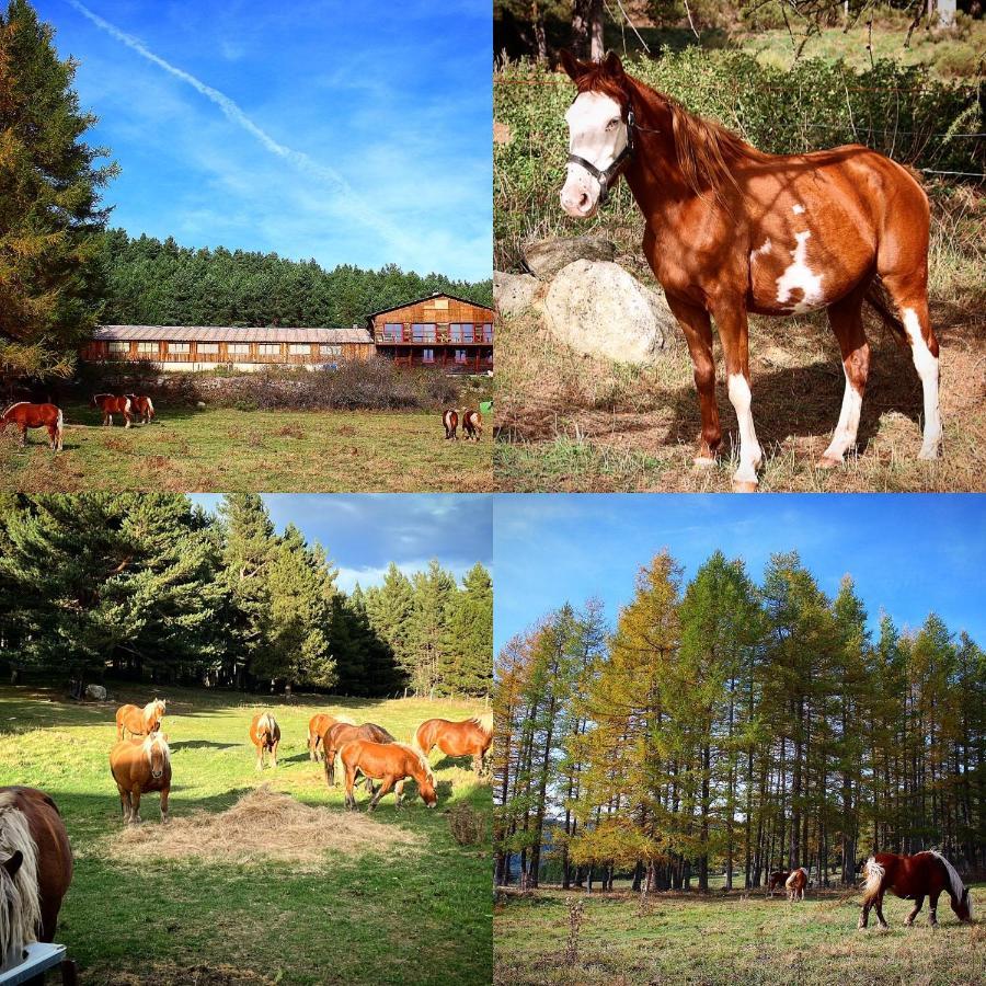 Gite Ranch Le Serpolet Les Angles  Eksteriør billede