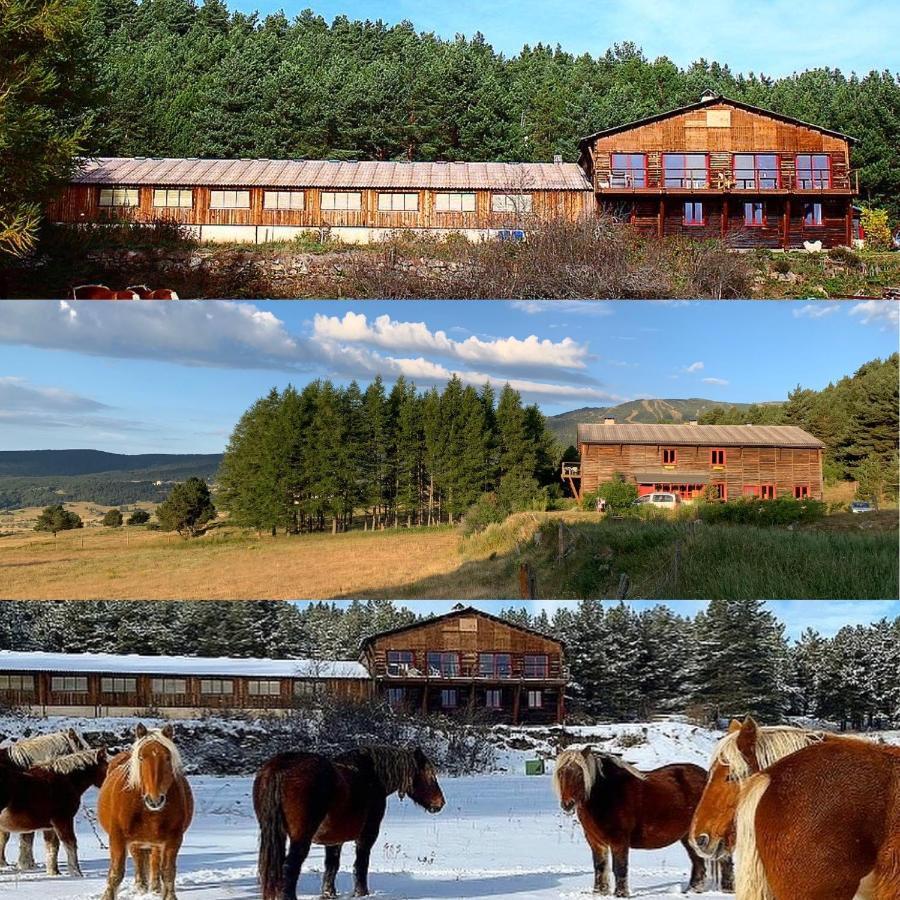 Gite Ranch Le Serpolet Les Angles  Eksteriør billede