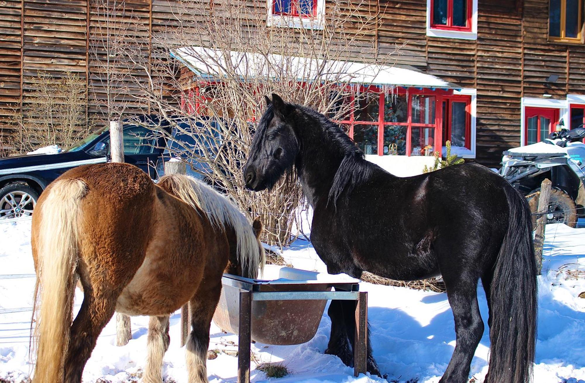 Gite Ranch Le Serpolet Les Angles  Eksteriør billede